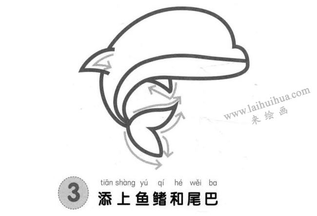 海豚兒童畫法步驟圖解03