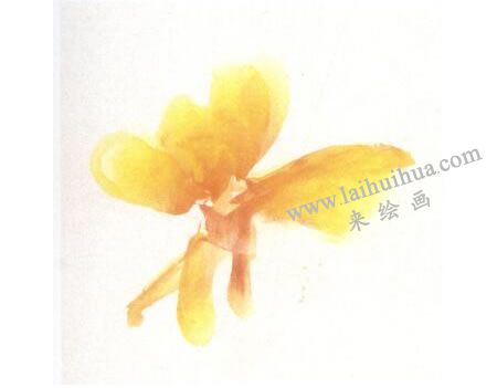 黃色牡丹花畫(huà)法步驟圖示01