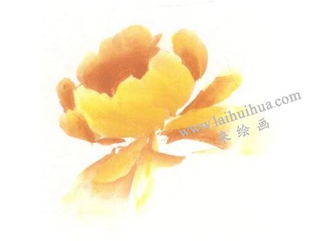 黃色牡丹花畫(huà)法步驟圖示02