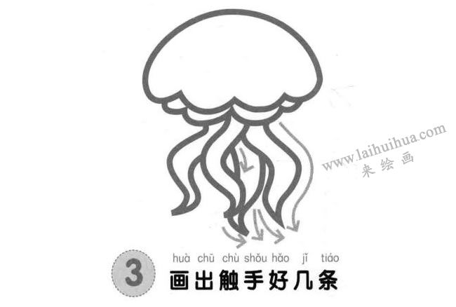 水母兒童畫(huà)法步驟圖03
