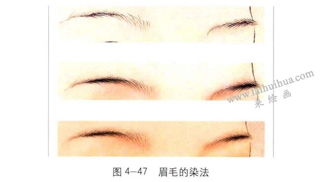 眉毛的染法，工筆人物畫