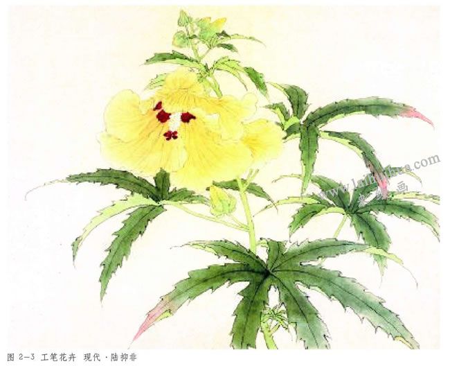 工筆花卉范例