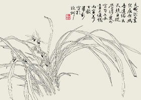 工筆花鳥(niǎo)畫(huà)基本技法