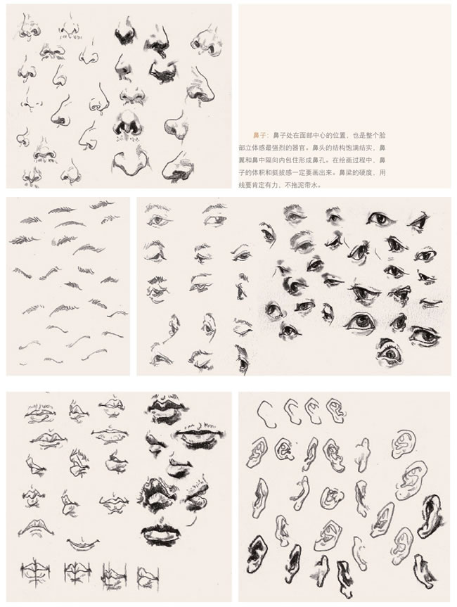 人物速寫(xiě)中的五官