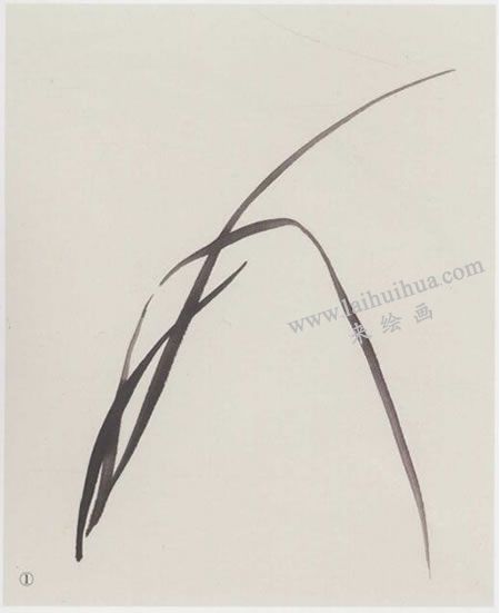 中國(guó)畫(huà)蘭花與蘭葉組合畫(huà)法步驟01