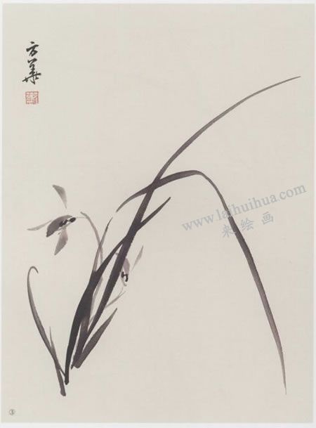 中國(guó)畫(huà)蘭花與蘭葉組合畫(huà)法步驟03