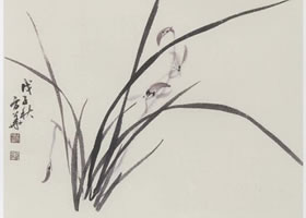 國(guó)畫(huà)蘭花的范畫(huà)畫(huà)法
