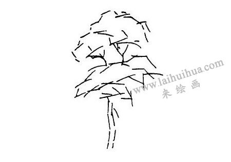 速寫畫樹步驟01