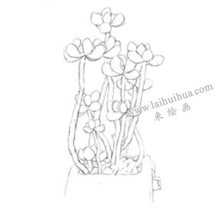 虹之玉素描畫法步驟01