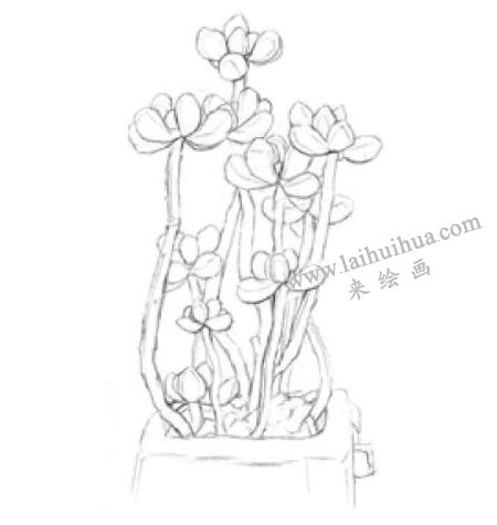 虹之玉素描畫法步驟02
