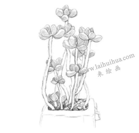 虹之玉素描畫法步驟03