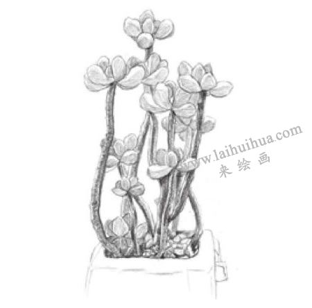 虹之玉素描畫法步驟04