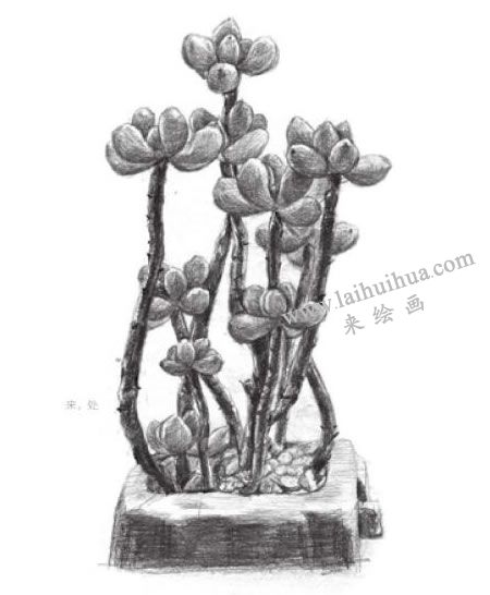 虹之玉素描畫法步驟08