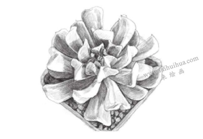 特玉蓮素描畫(huà)法步驟04