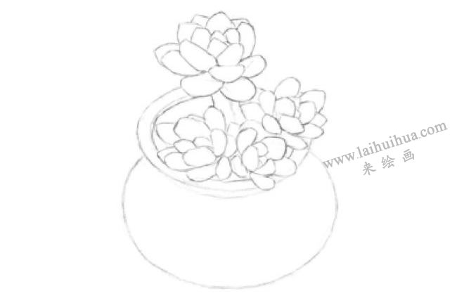 凝脂蓮素描畫(huà)法步驟01