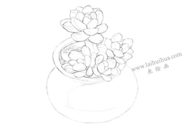 凝脂蓮素描畫(huà)法步驟02
