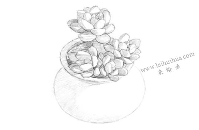 凝脂蓮素描畫(huà)法步驟03