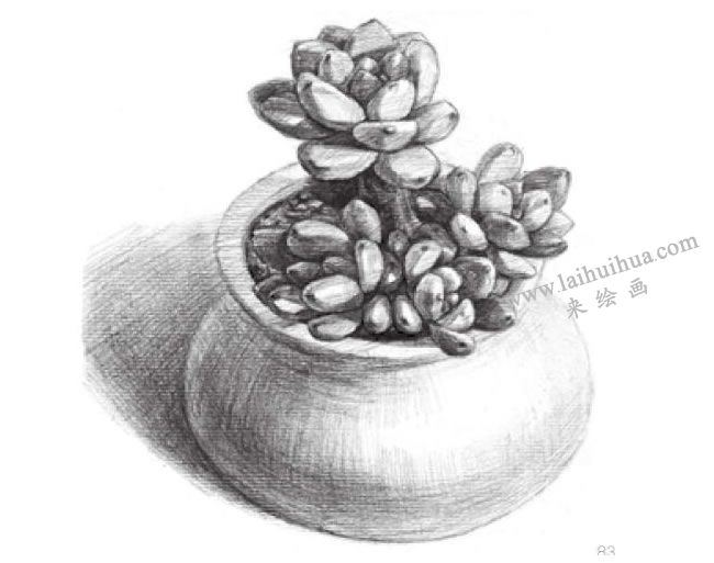 凝脂蓮素描畫(huà)法步驟06