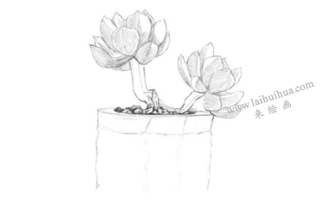 黃麗素描畫法步驟02