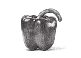 辣椒素描畫法