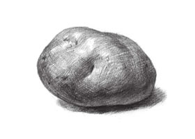 土豆素描畫法（二）
