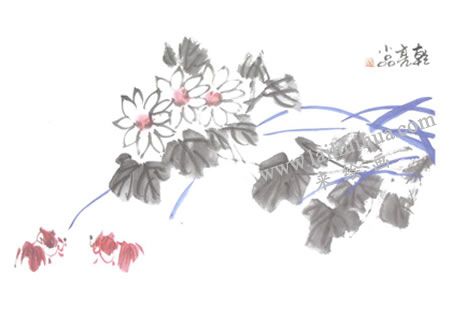 紅金魚(yú)國(guó)畫(huà)畫(huà)法步驟05