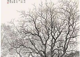 國(guó)畫(huà)柿子樹(shù)寫(xiě)生方法