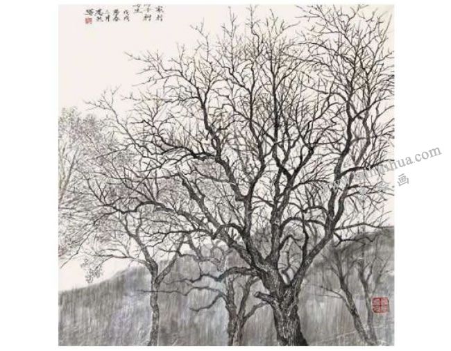 國(guó)畫柿子樹寫生方法范例步驟04