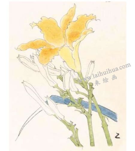 萱花的工筆畫(huà)法步驟圖示02