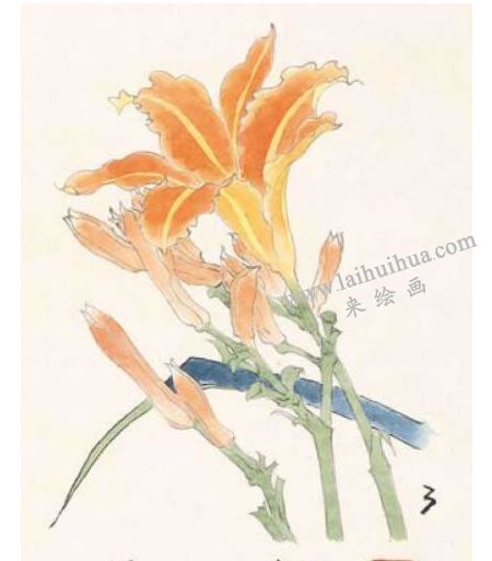 萱花的工筆畫(huà)法步驟圖示03