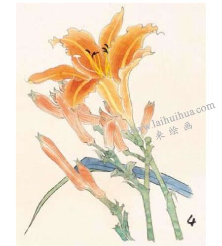 萱花的工筆畫(huà)法步驟圖示04
