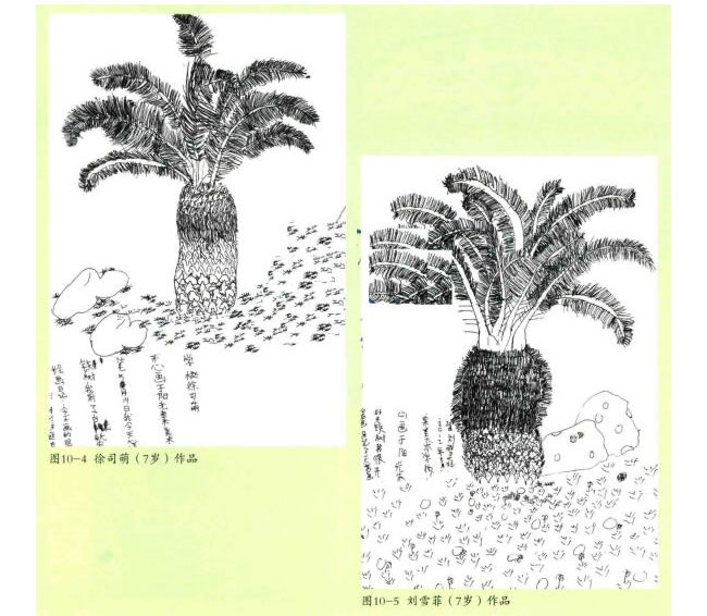鐵樹線描畫法步驟教學(xué)過程