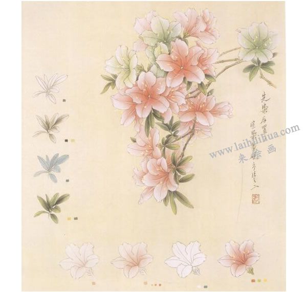 杜鵑花工筆畫(huà)