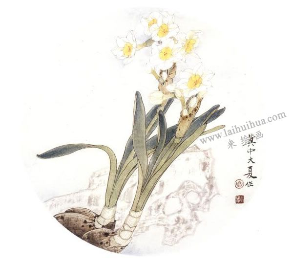 俞致貞《水仙》工筆畫(huà)技法步驟05
