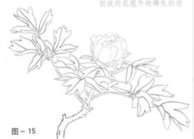 怎樣畫牡丹？