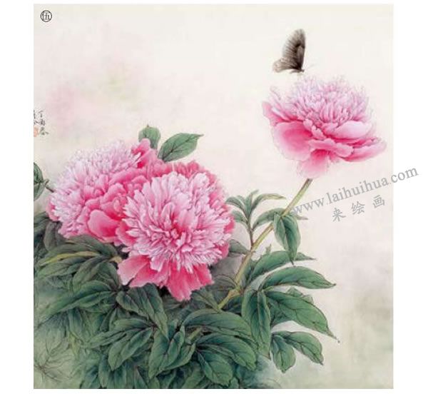 芍藥工筆畫法步驟范例圖示05