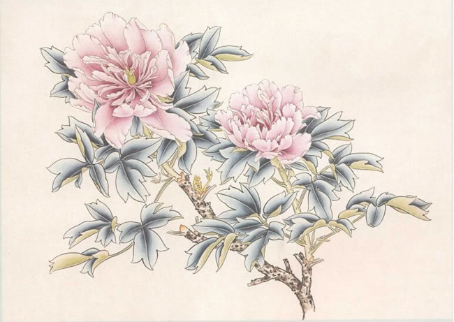 “藍(lán)田玉”牡丹的畫(huà)法