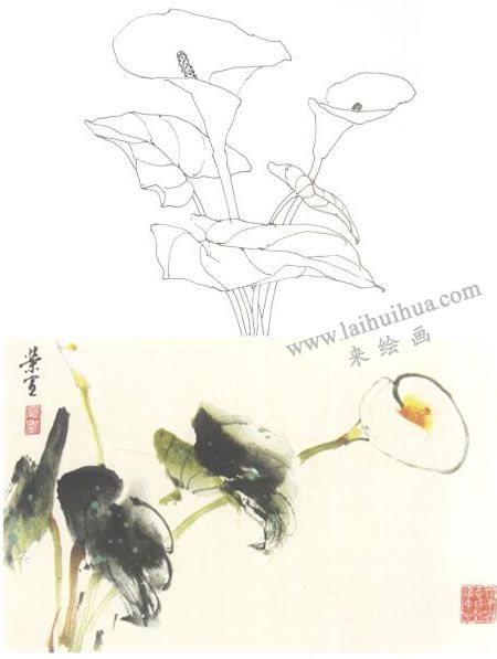 馬蹄蓮寫(xiě)意畫(huà)法