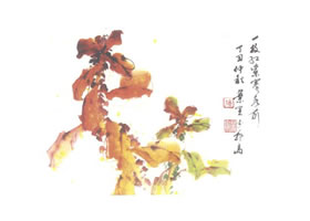 雁來紅寫意畫法