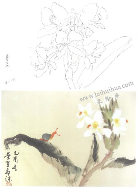 姜花寫(xiě)意畫(huà)法