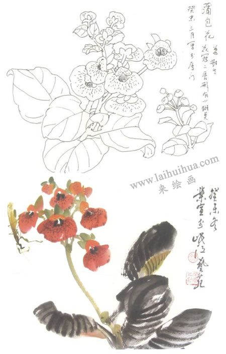 荷包花寫(xiě)意畫(huà)法