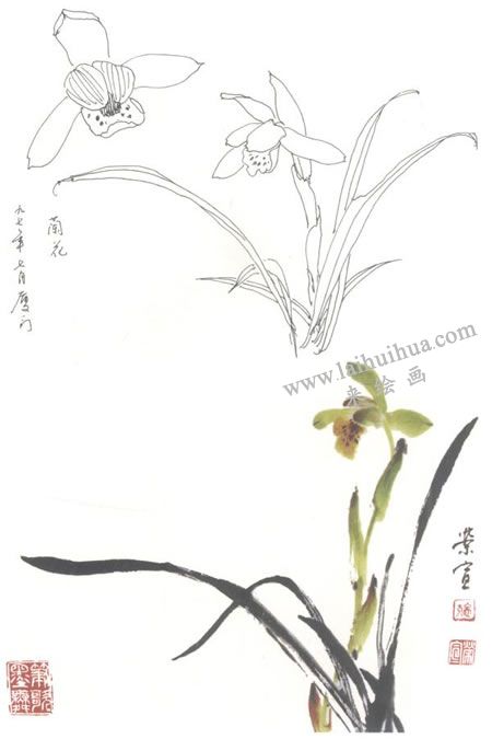 蘭花寫意畫法
