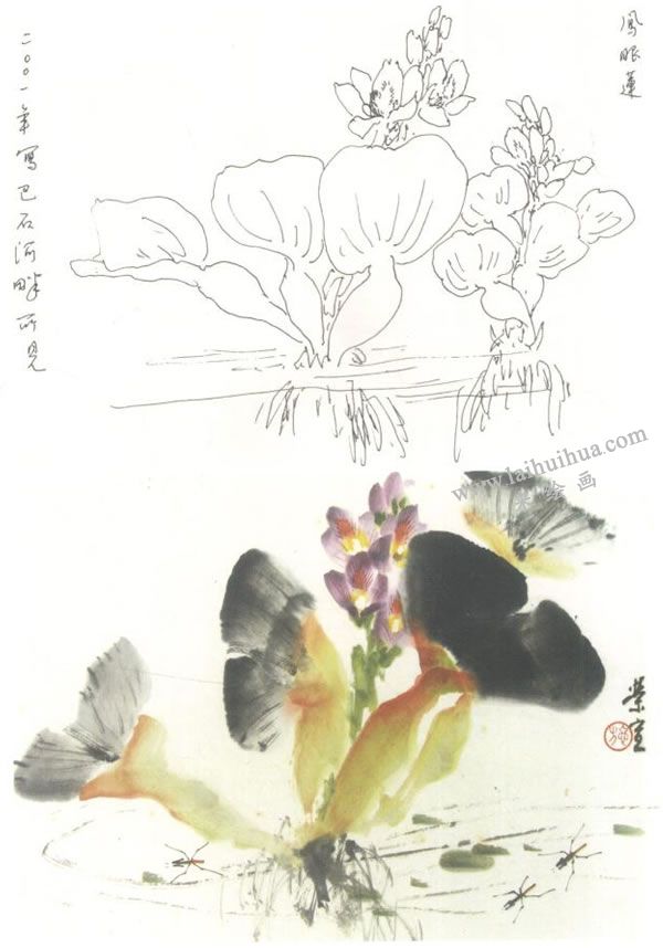 鳳眼蓮寫意畫法