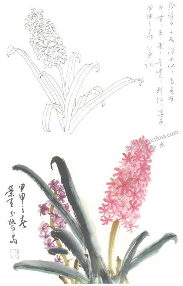 風(fēng)信子寫(xiě)意畫(huà)法