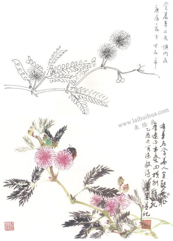 含羞草寫(xiě)意畫(huà)法