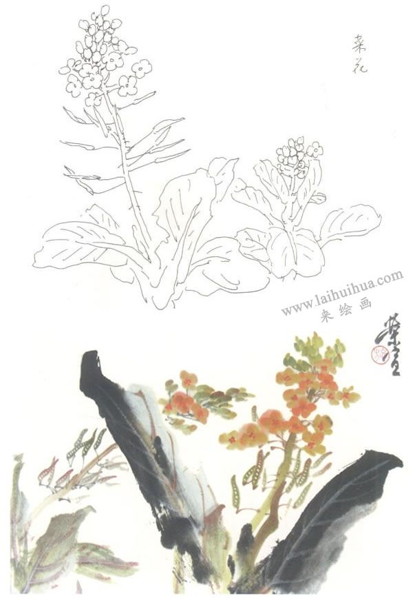 菜花寫(xiě)意畫(huà)法