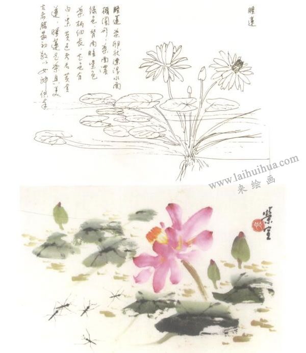 睡蓮寫(xiě)意畫(huà)法