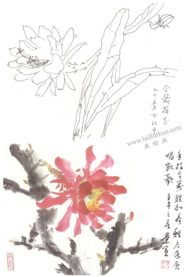 令箭荷花寫意畫法