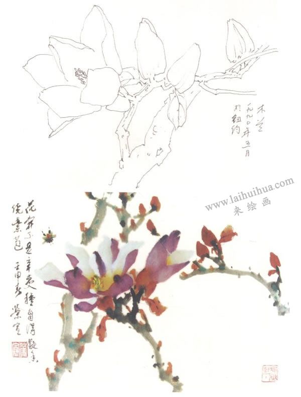 木蘭寫意畫法