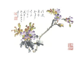 含笑花寫意畫法